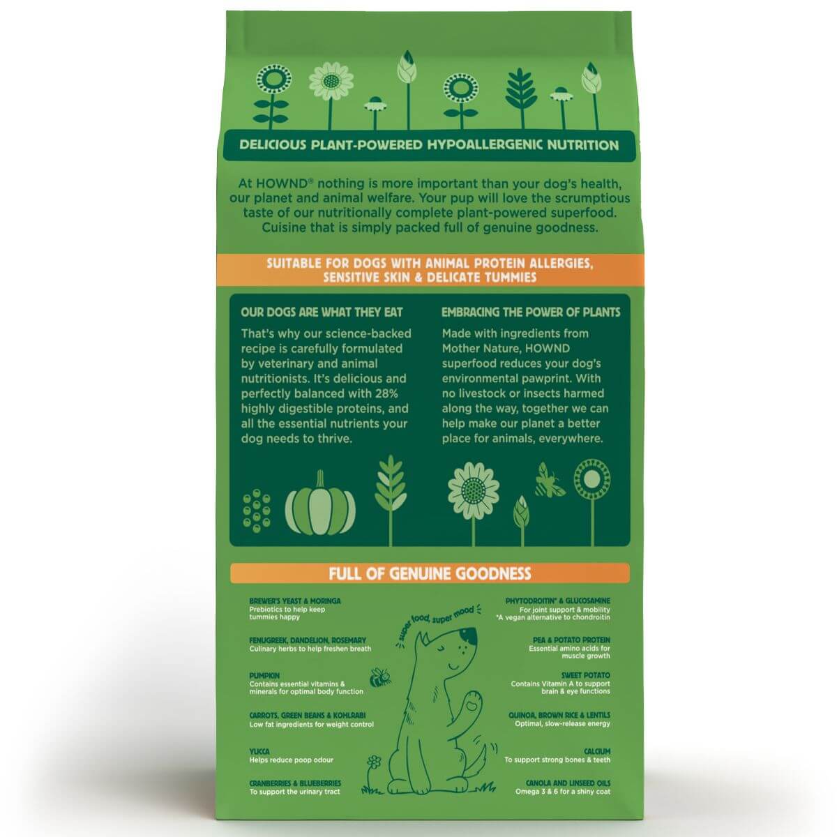 Delicious Pumpkin Quinoa & Moringa Superfood (2kg & 10kg) - Image 2