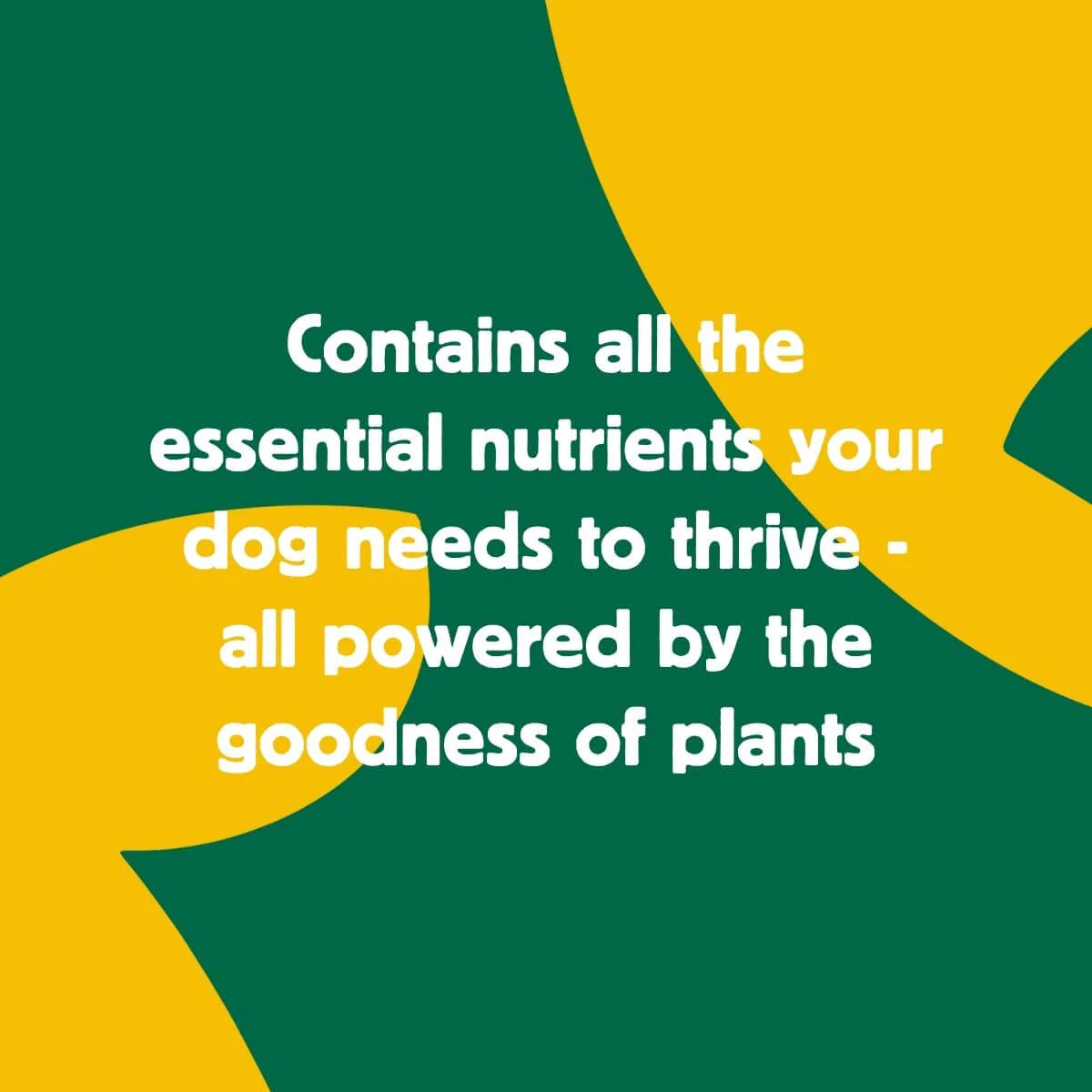 Delicious Pumpkin Quinoa & Moringa Superfood (2kg & 10kg) - Image 6